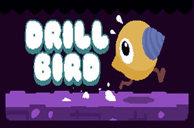 钻头鸟 / Drill Bird